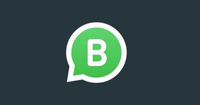 whatsapp business